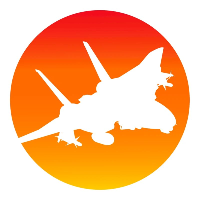 F-14 Tomcat jet fighter