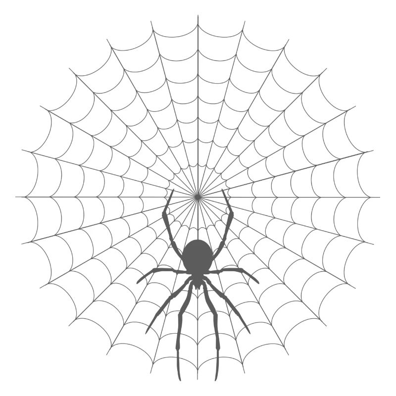 Spider Web Silhouette