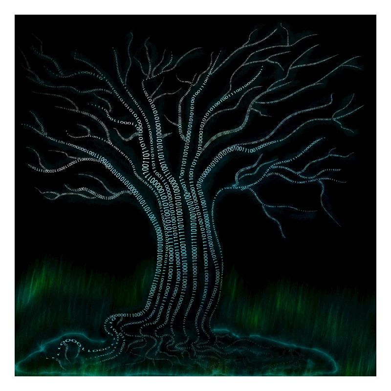 Binaer Benär tree