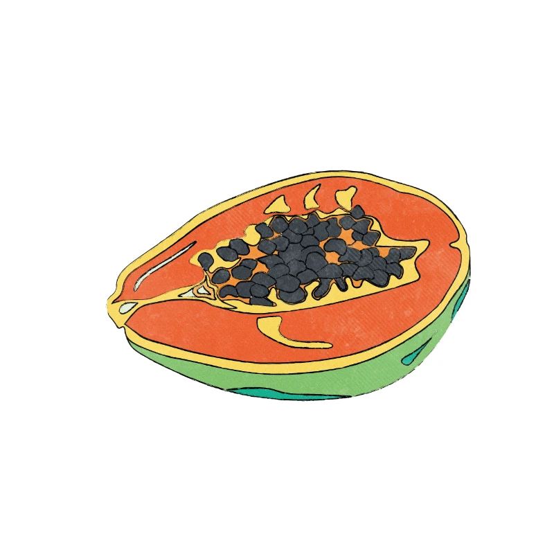 Papaya Summer Fruit Delicious Fun Gift