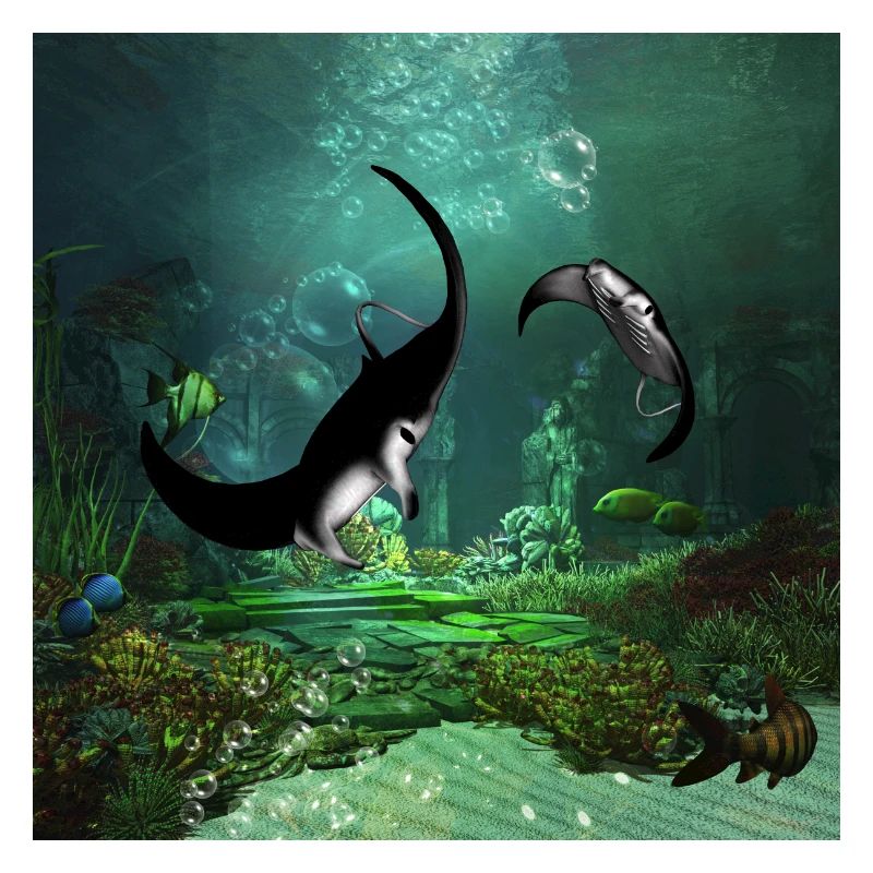 Superbe couverture de rayons sur les basses eaux