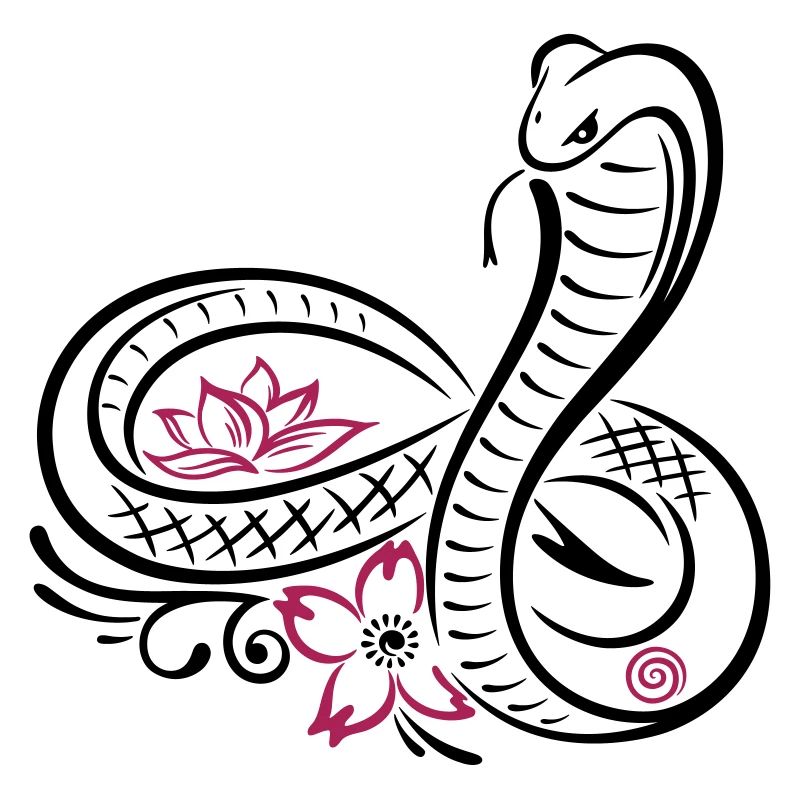 Serpent, infini, fleur de cerisier, fleur de lotus