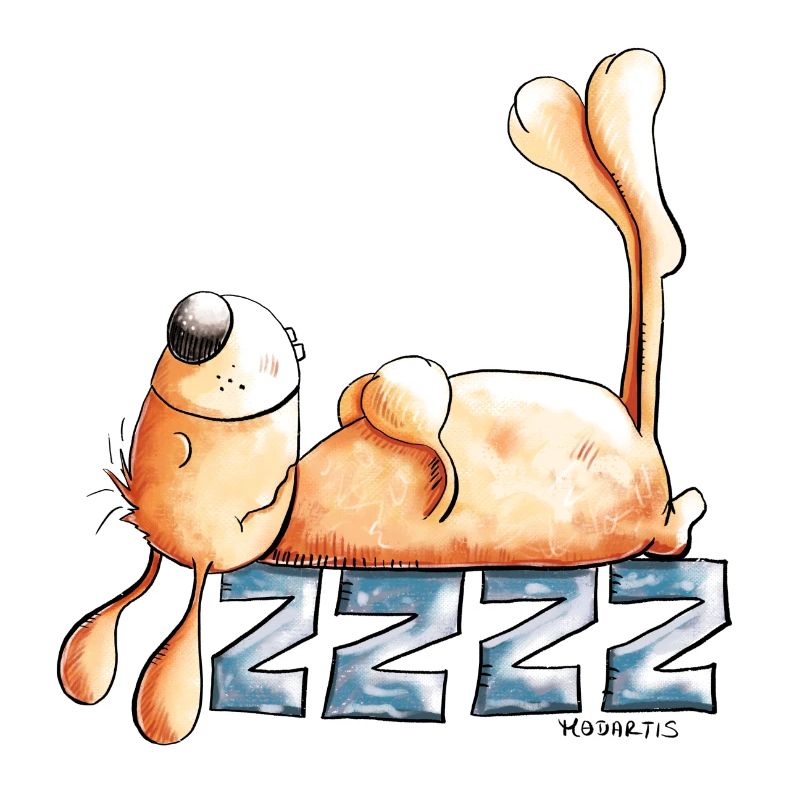 Sleeping Rabbit I Rabbit Rabbit