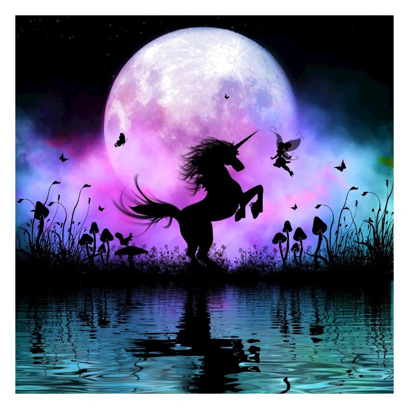 Wunderbares Einhorn mit Fee nachts