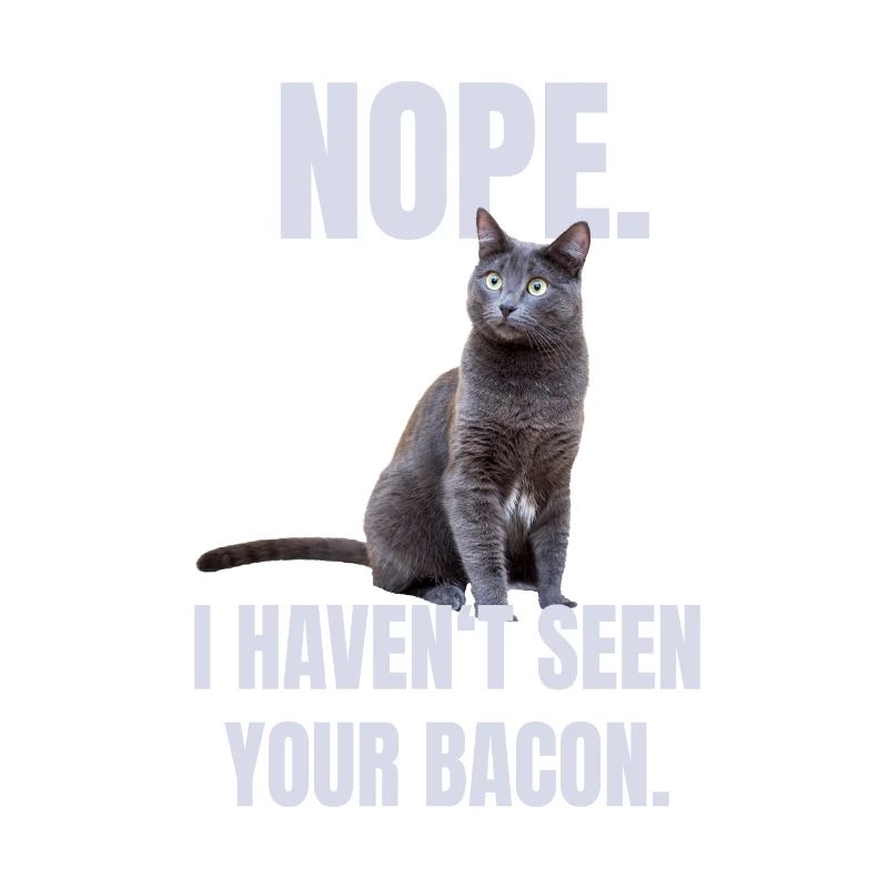 Chat marrant