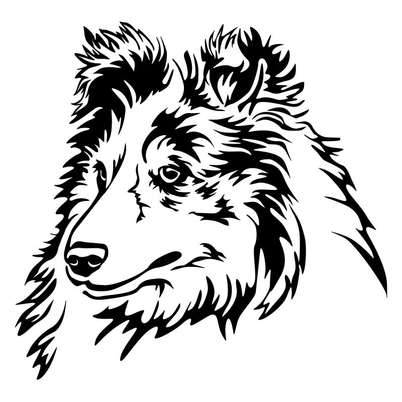 Sheltie Kopf