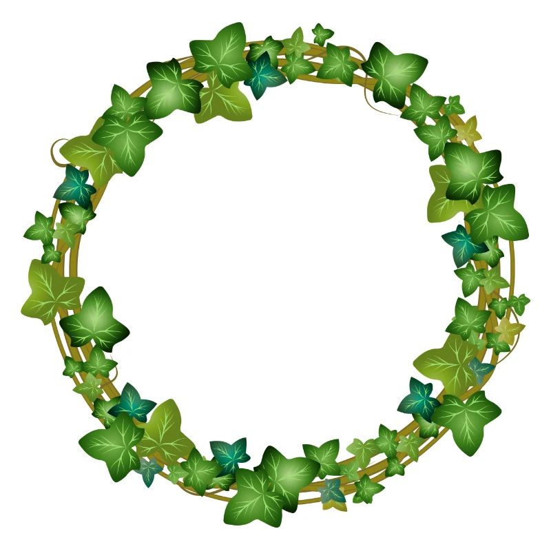 dekorativer Efeu Kranz oder Efeu Rahmen