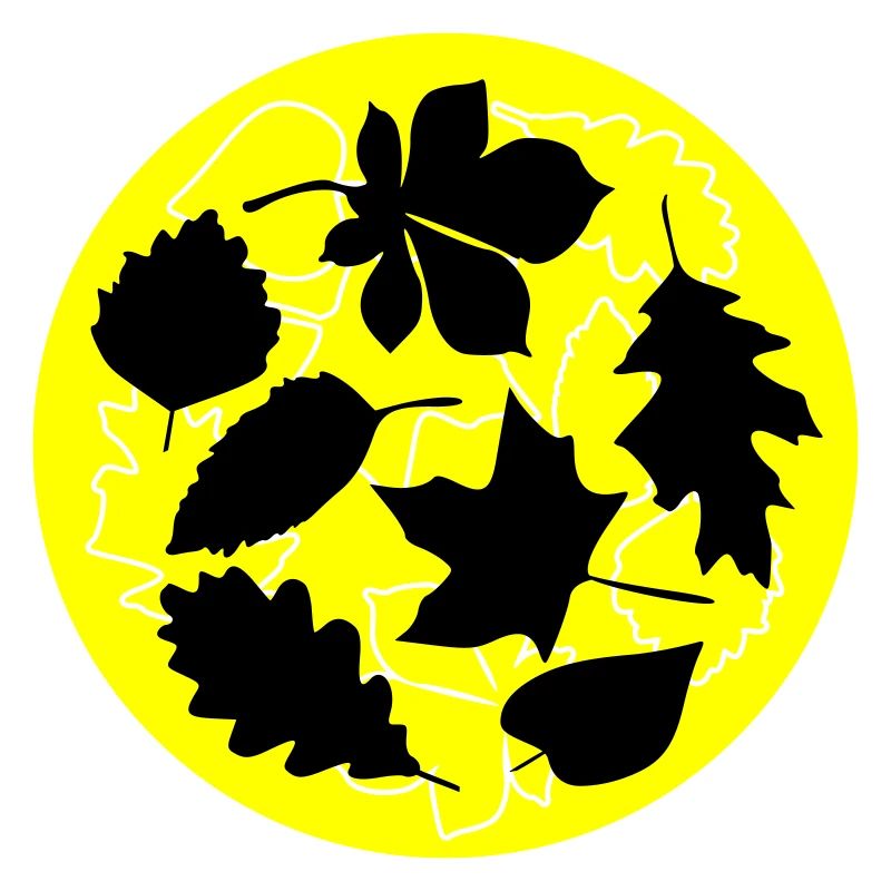 Feuilles circulaires d’automne