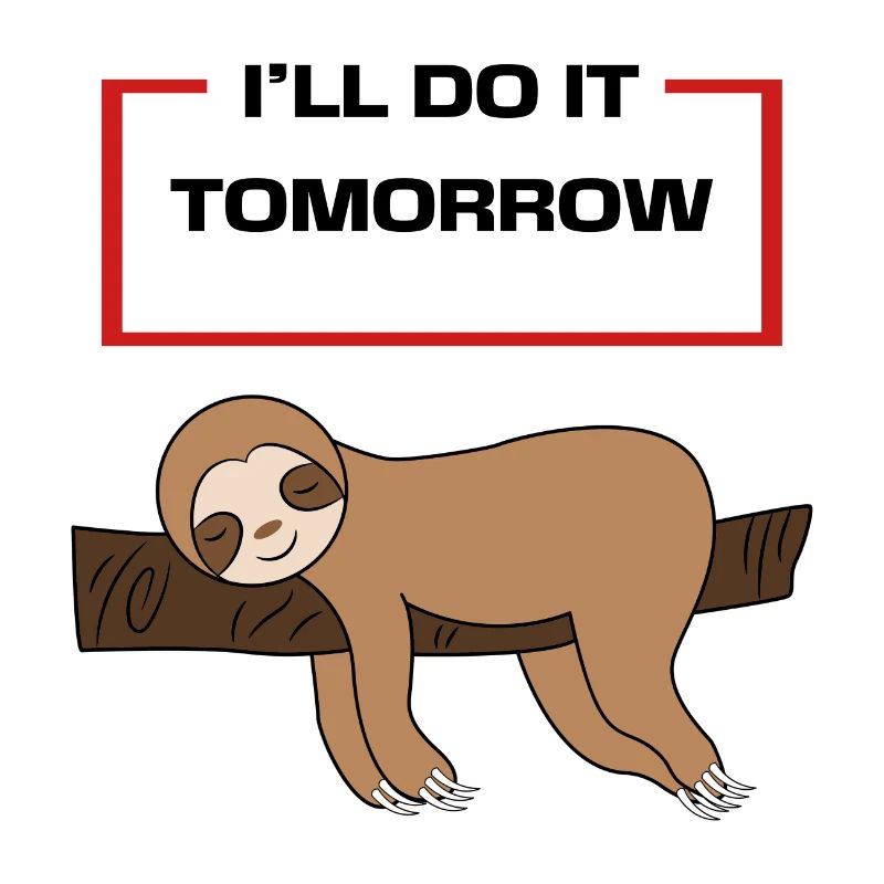 Animal Lazy Statement Hammock Sloth Sleeping