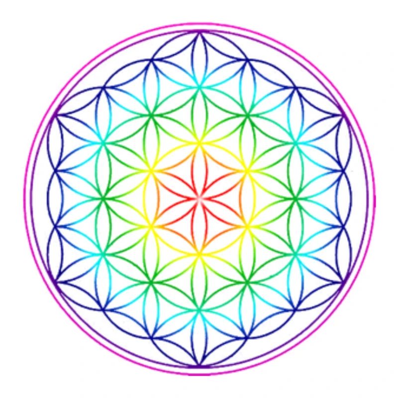 REGENBOGENBLUME DES LEBENS