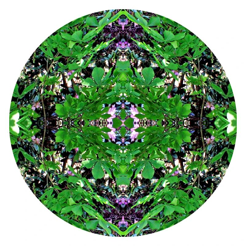 Nature Mandala Spring à Dennenlohe