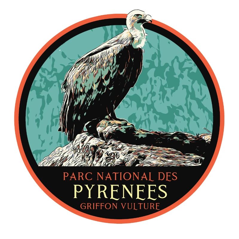 Vautour dans le Parc National des Pyrénées