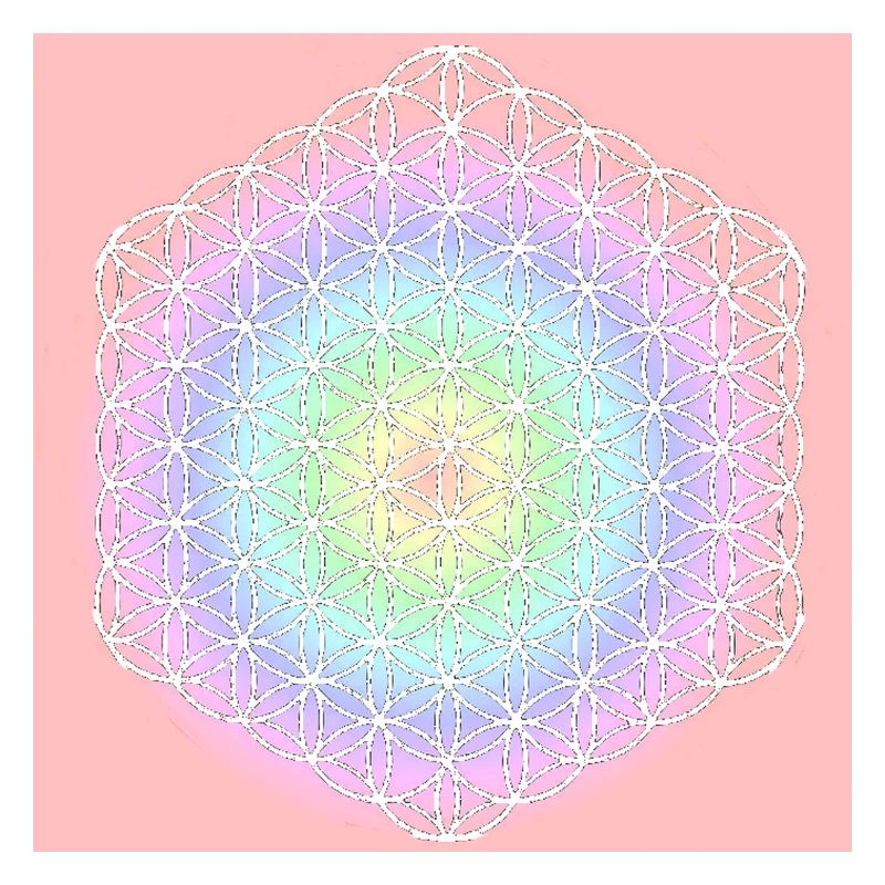 Fleur de Vie Blanche - 5ème Dimension