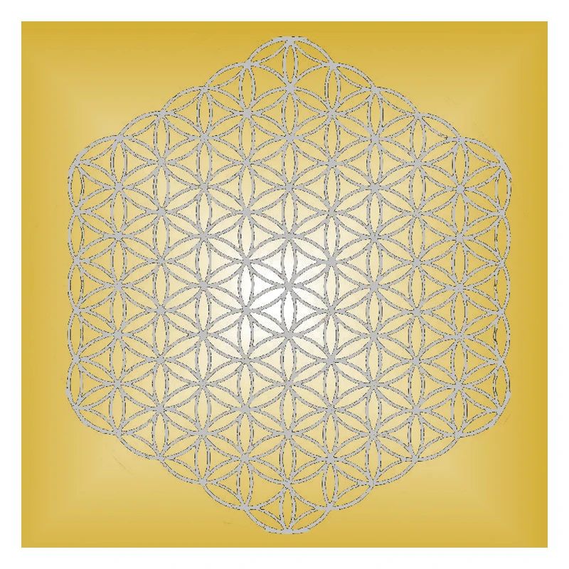 Blume des Lebens silber - 5. Dimension