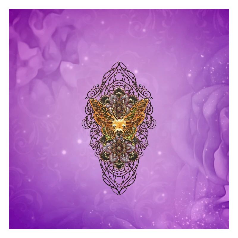 Wunderbare, elegante Schmetterlinge