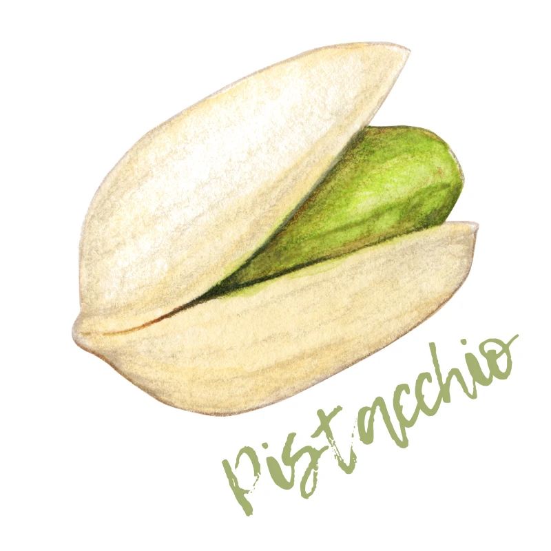 Pistachio with shell and pit