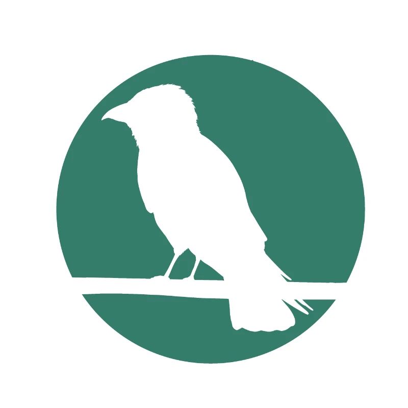 Crow on a branch