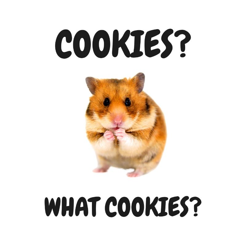 Hamster Meme Cookies Biscuits Snacking Hamster doré