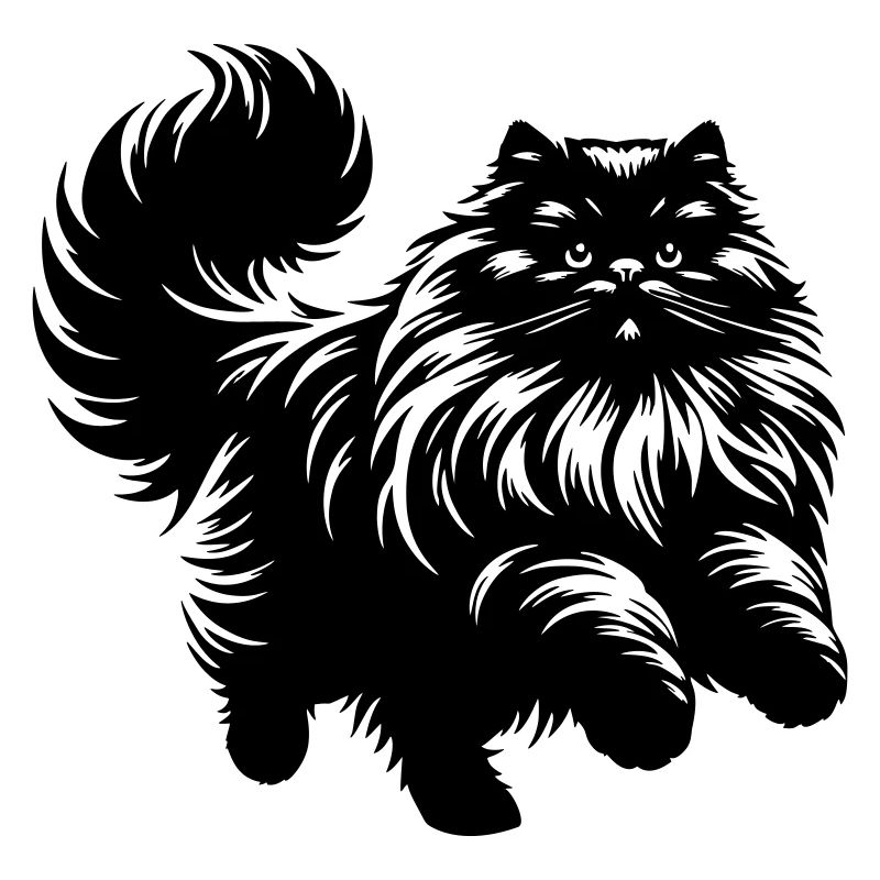 Chat persan - Persan