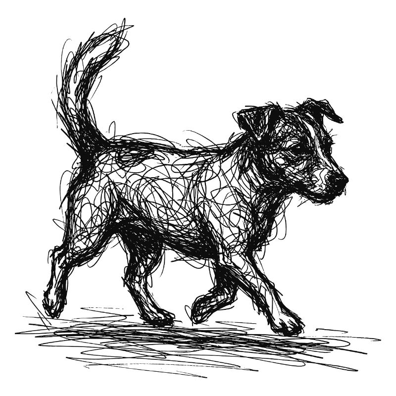 Jack Russell Terrier – Conception de chien de croquis