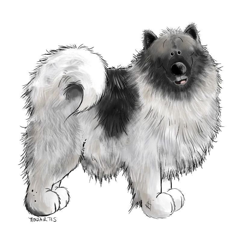Wolfsspitz Hundemotiv I Comic Hund Geschenk