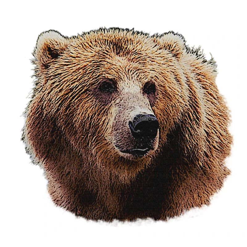 Bear Lover T-Shirts, Bear Head Night Pattern
