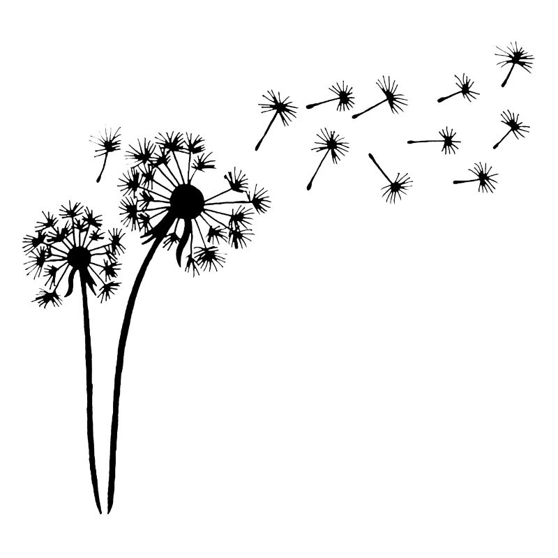 Fleur de pissenlit noir