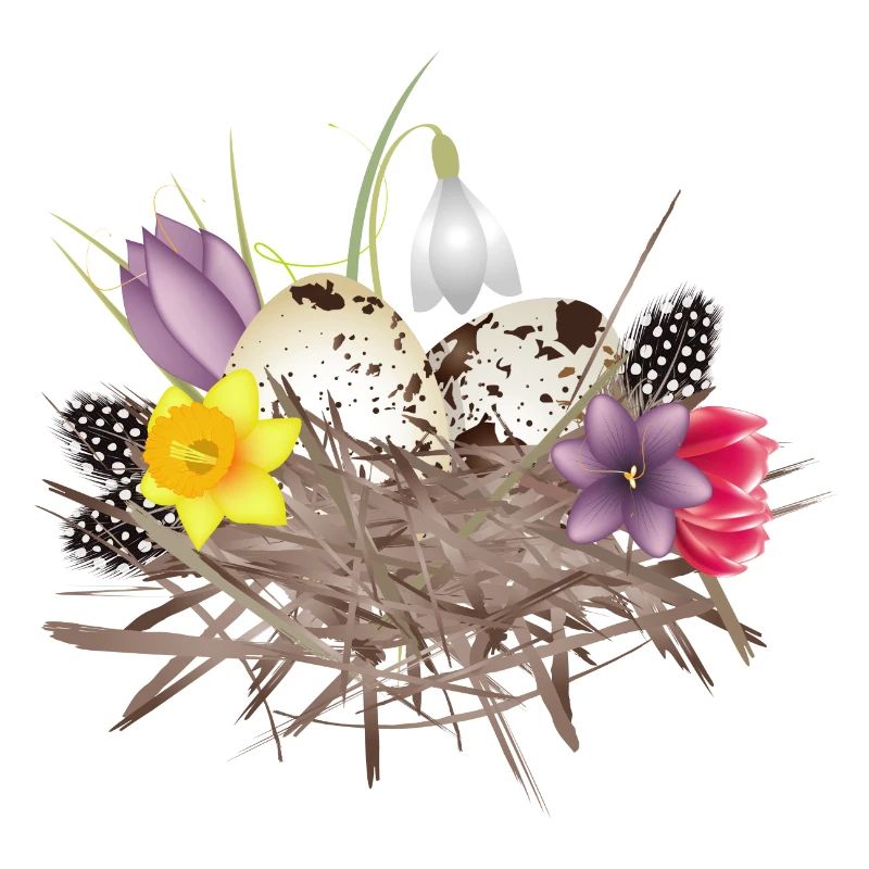 Spring nest with eggs, feathers and spring flowers