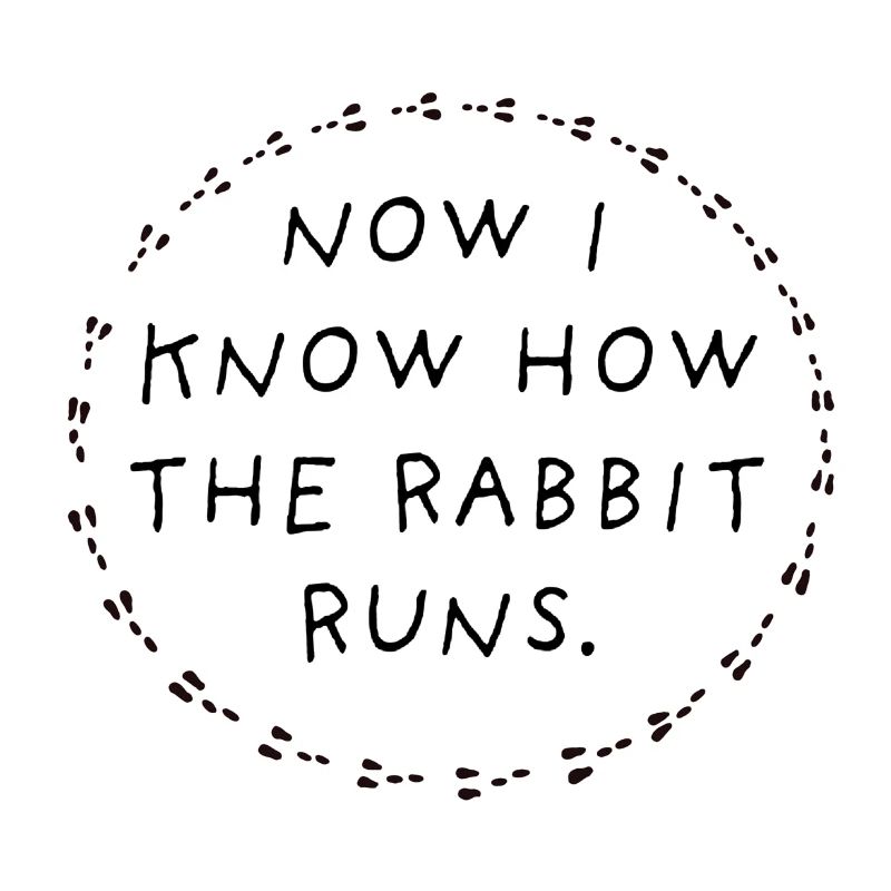Now I know how the rabbit runs.