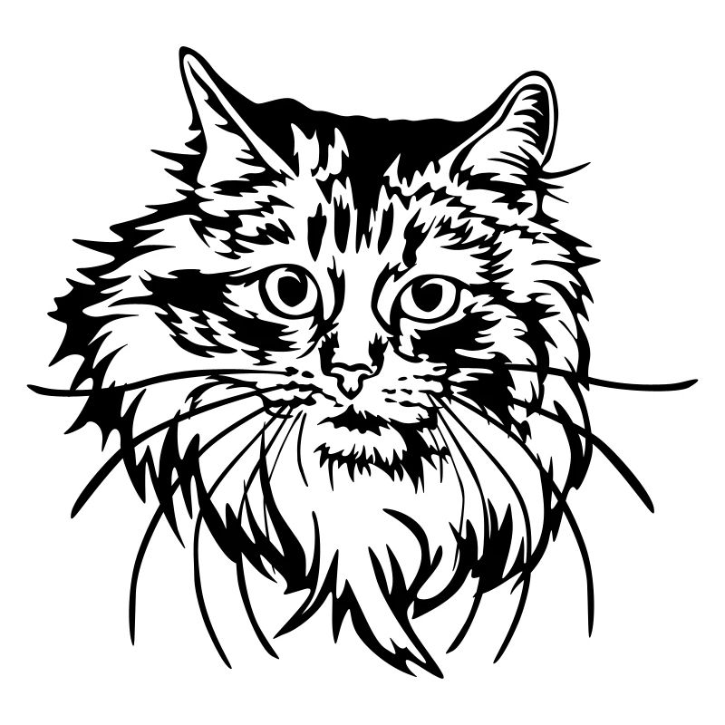 Norwegische Waldkatze