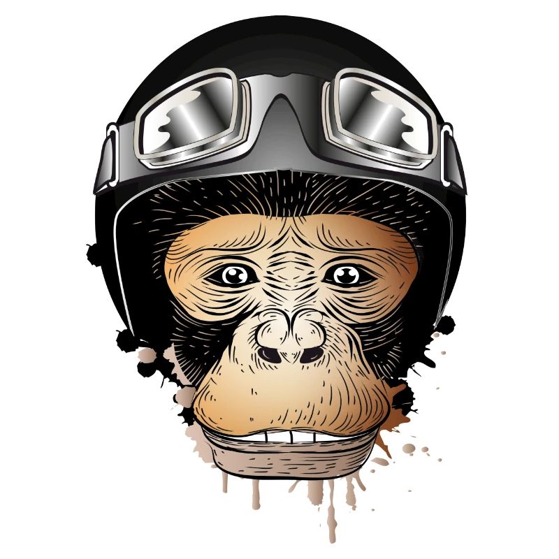 Monkey with retro motorcycle helmet and motorcycle goggles