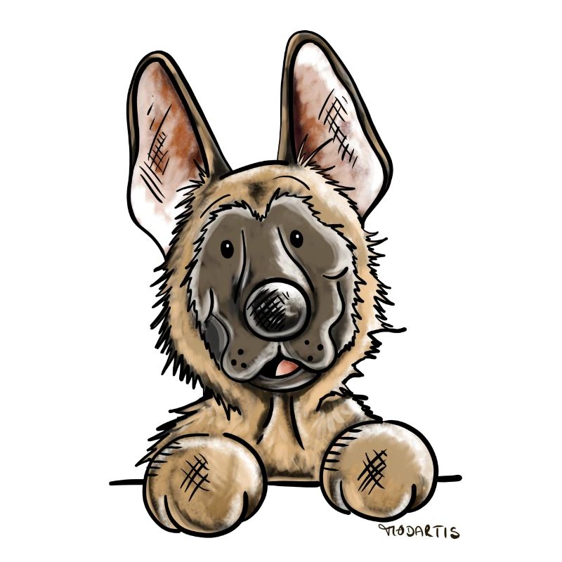 Neugieriger Malinois