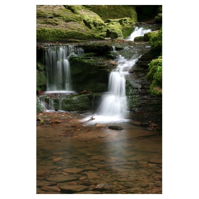 Black Forest Monbach