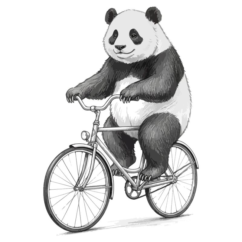 Panda on Bicycle