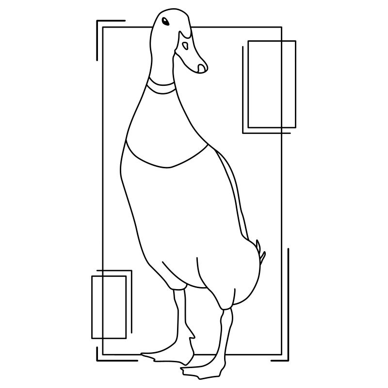Runner duck in geometric design