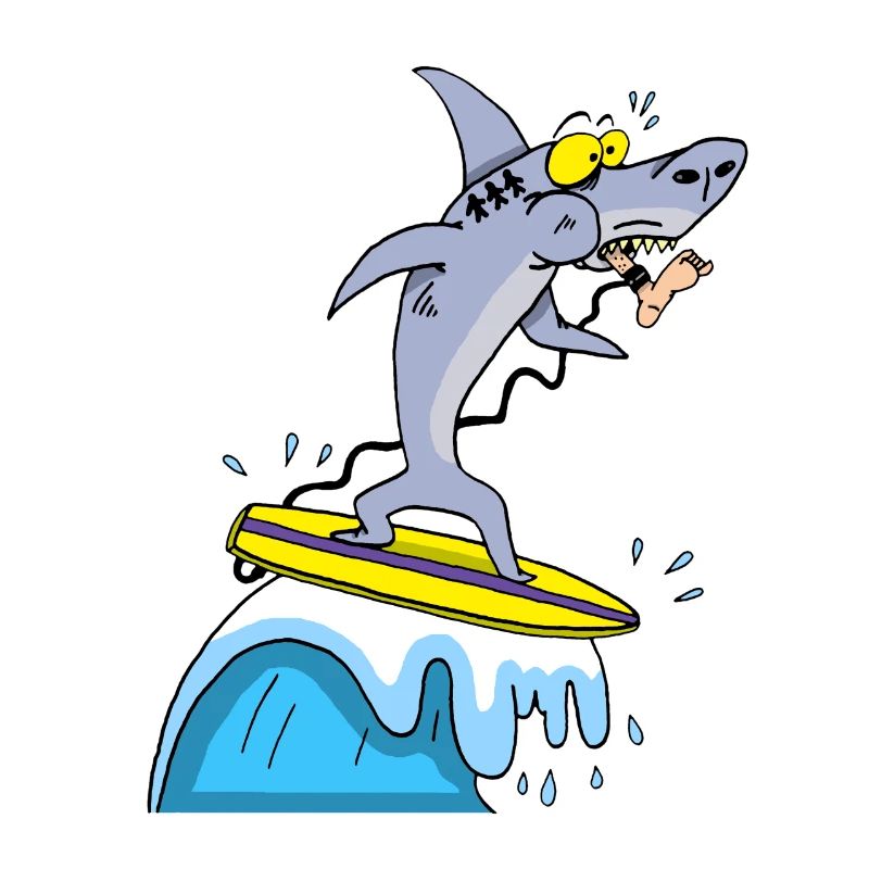 Requin surfeur