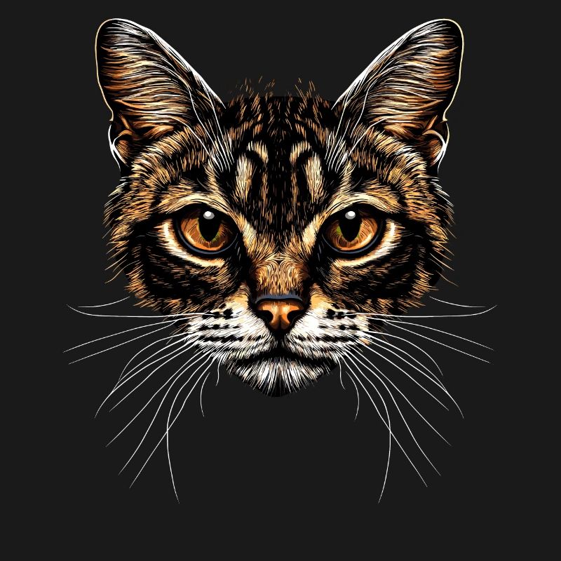 Chat Bengal Chat Léopard Chat Leopardette Chats Bengale