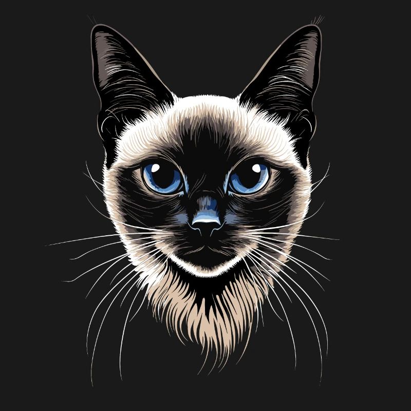 Siamese Cat Siamese Cat Siamese Cat Siamese Cats