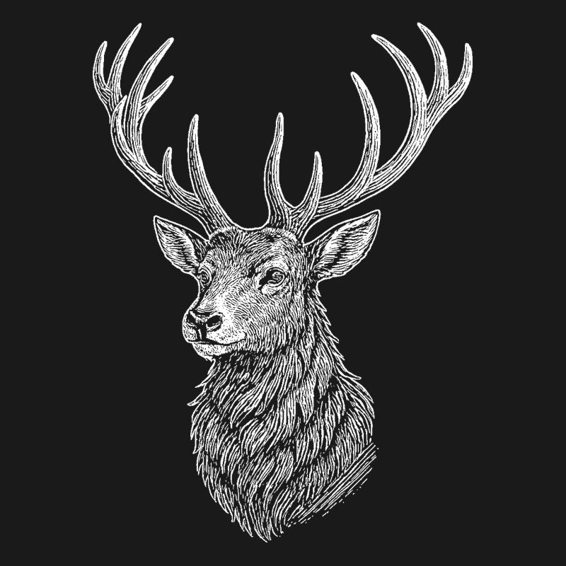 Cerf