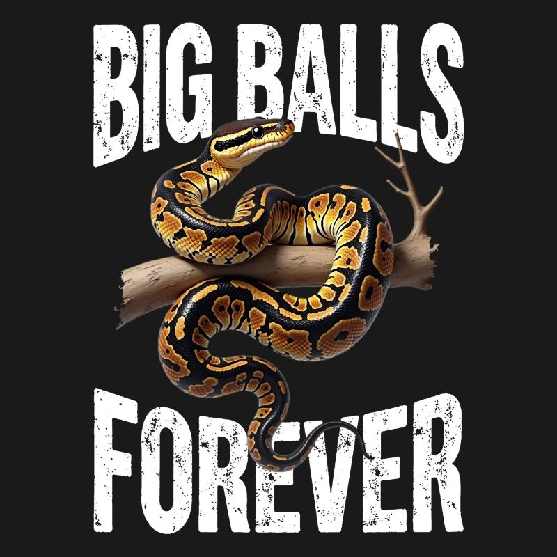 Python roi Serpents Amateurs de terrarium Python