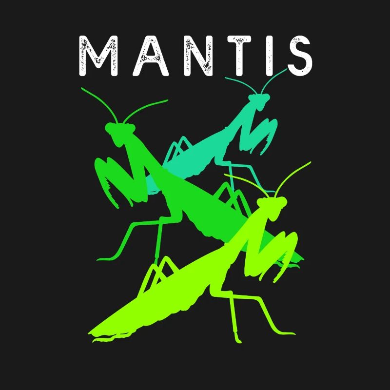 Gottesanbeter Gottesanbeterin Mantis