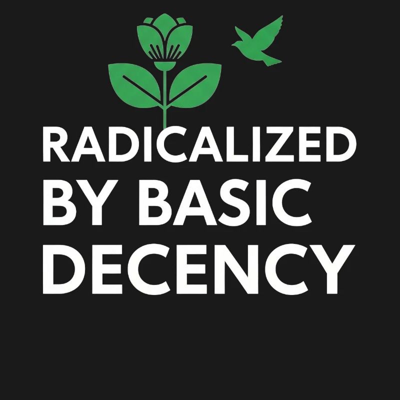 Radicalized By Basic Decency Statement shirt decal