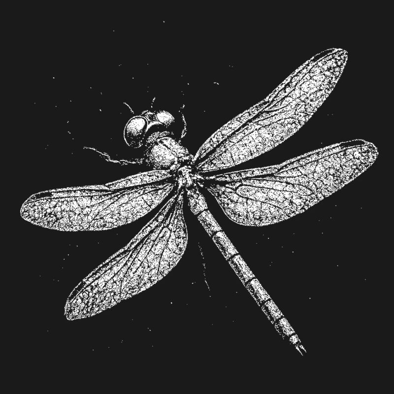 Libelle