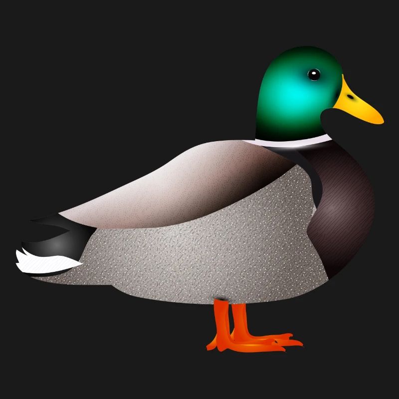 handgezeichnete männliche Ente Erpel oder Enterich