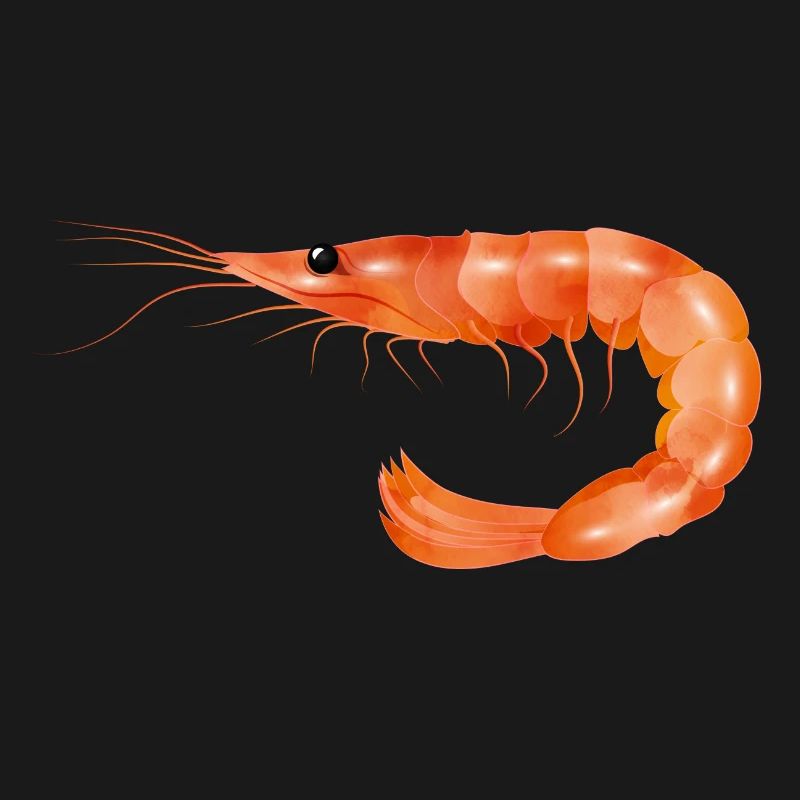 rosarote Garnele oder Shrimp von Hand gezeichnet