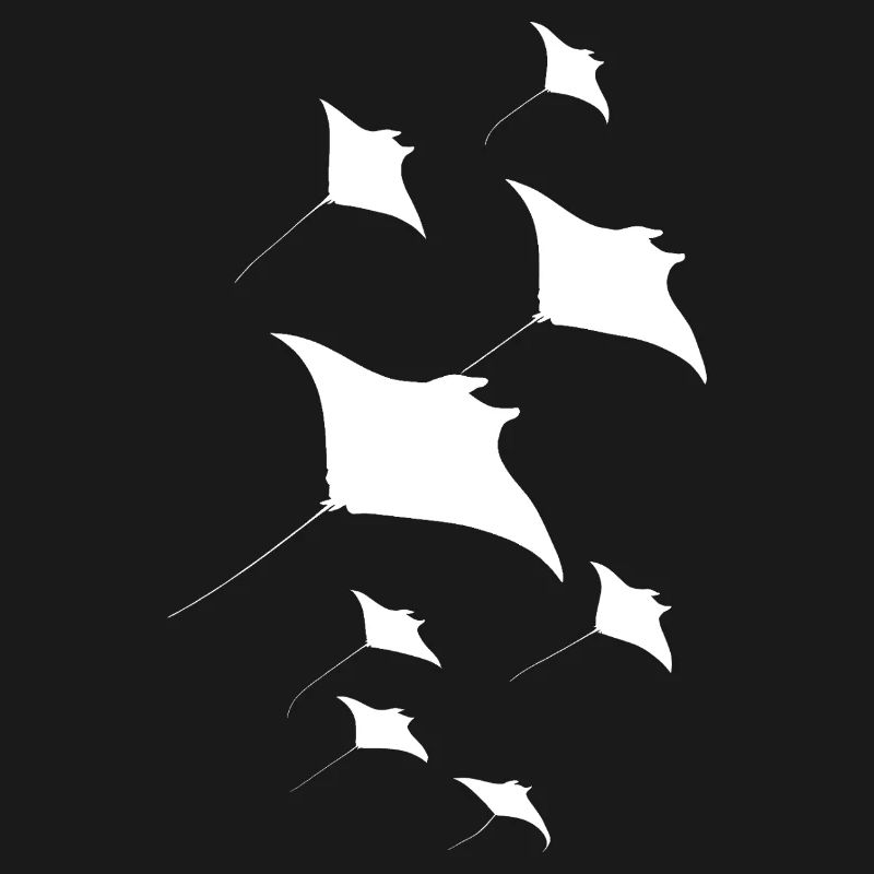 Manta Ray, Devil Ray, Stingray, Diver