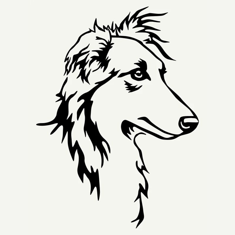 Langhaar Whippet Kopf
