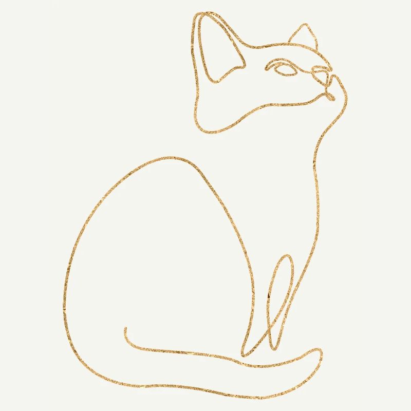 Chaton Chat Chat