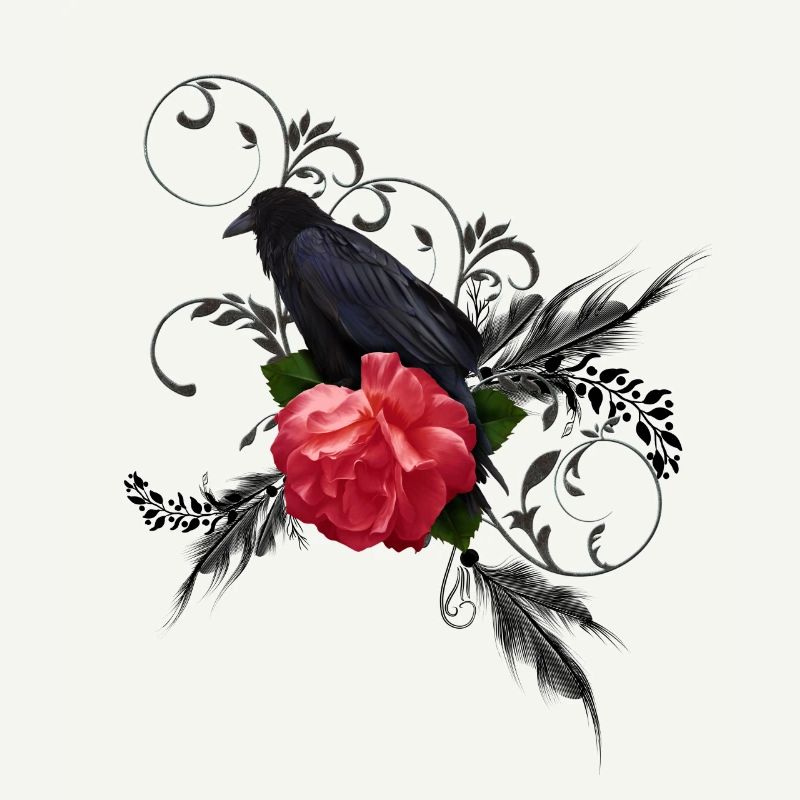 Wunderbare Krähe mit Rose