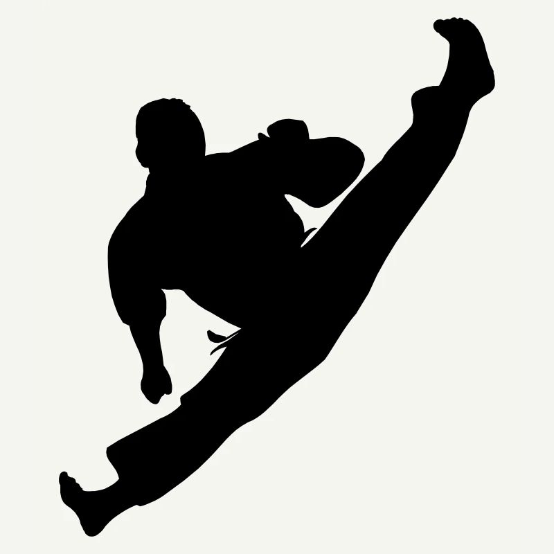 Jumpkick Geri Kick Karate oder Teakwondo